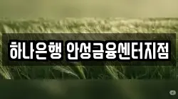 하나은행 안성금융센터지점