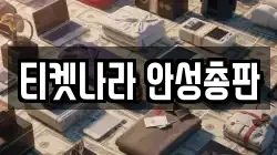 티켓나라 안성총판