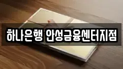 하나은행 안성금융센터지점