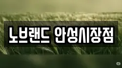 노브랜드 안성시장점