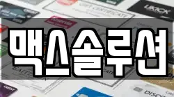 맥스솔루션
