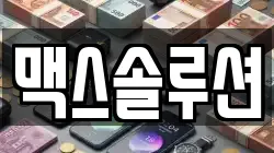 맥스솔루션