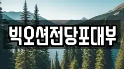 빅오션전당포대부