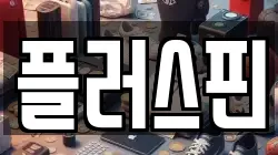 플러스핀
