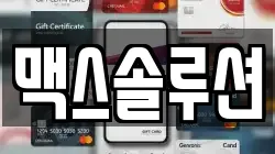 맥스솔루션