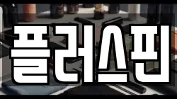 플러스핀