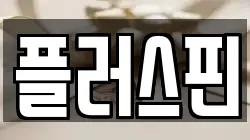 플러스핀