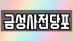 금성사전당포