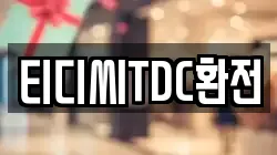 티디씨TDC환전