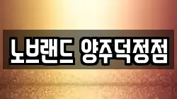 노브랜드 양주덕정점