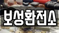 보성환전소