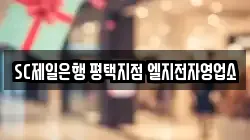 SC제일은행 평택지점 엘지전자영업소