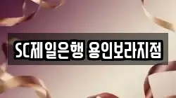 SC제일은행 용인보라지점