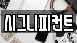 시그니피컨트
