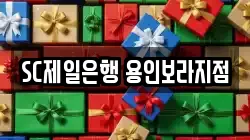 SC제일은행 용인보라지점