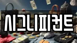 시그니피컨트