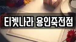 티켓나라 용인죽전점