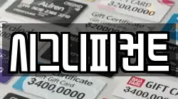 시그니피컨트