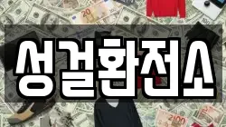 성걸환전소