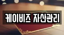 케이비즈 자산관리