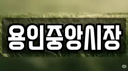 용인중앙시장