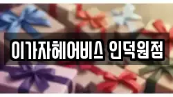 이가자헤어비스 인덕원점