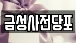 금성사전당포