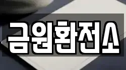 금원환전소