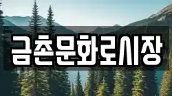 금촌문화로시장