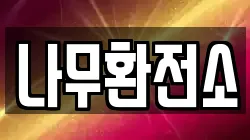 나무환전소