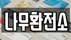 나무환전소