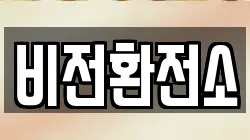 비전환전소