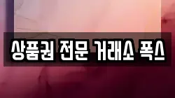 상품권 전문 거래소 폭스