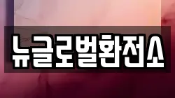 뉴글로벌환전소