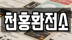 천홍환전소