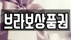 브라보상품권
