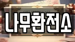 나무환전소