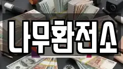 나무환전소