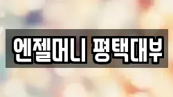 엔젤머니 평택대부