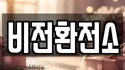 비전환전소