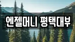 엔젤머니 평택대부