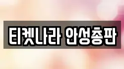 티켓나라 안성총판