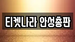 티켓나라 안성총판