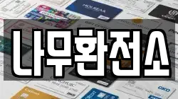 나무환전소