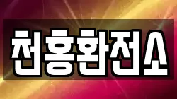 천홍환전소