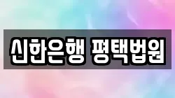 신한은행 평택법원