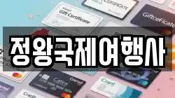 정왕국제여행사