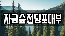 자금숲전당포대부