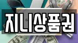 지니상품권