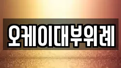 오케이대부위례